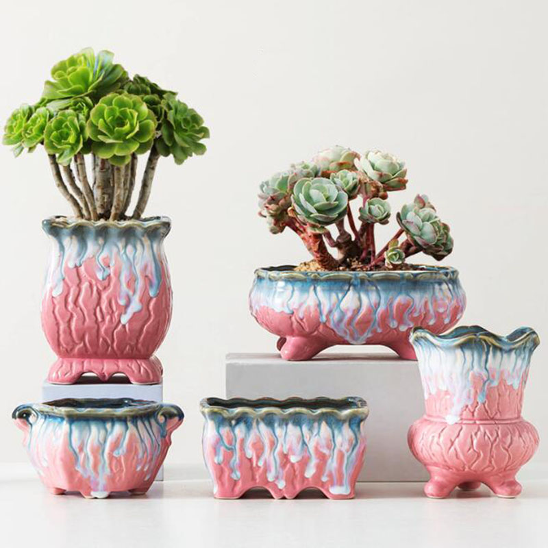 Bonsai Tree Zen Garden - Maceta esmaltada creativa para plantas suculentas,