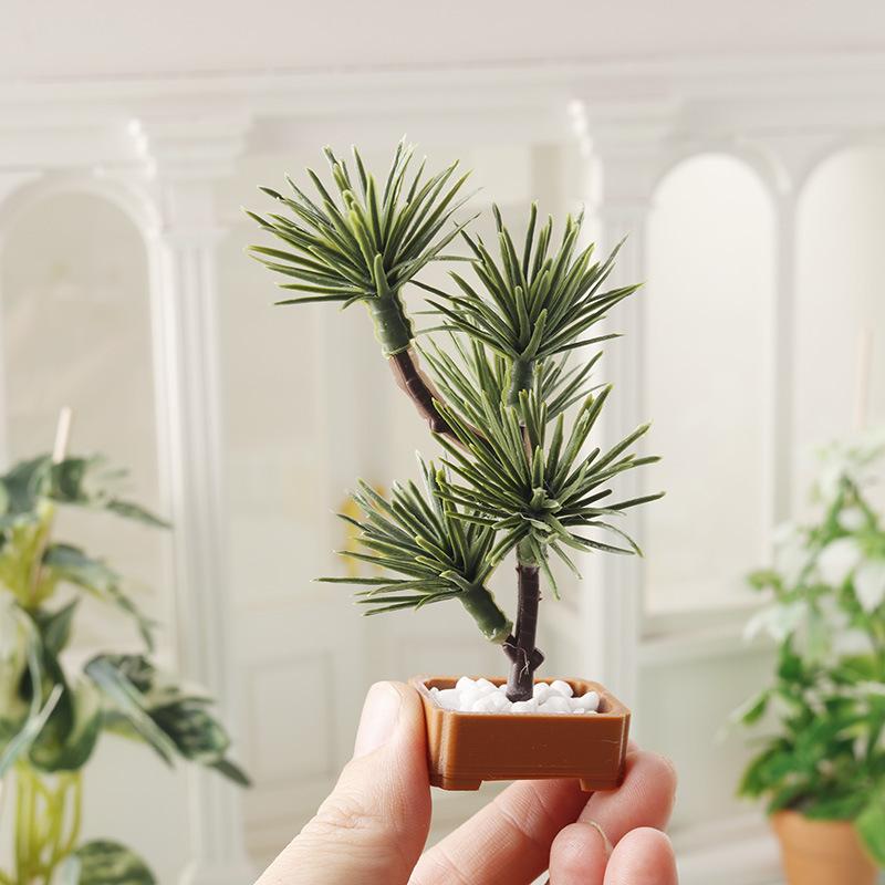 Landscape Bonsai Garden - 1 unidad de árbol de pino