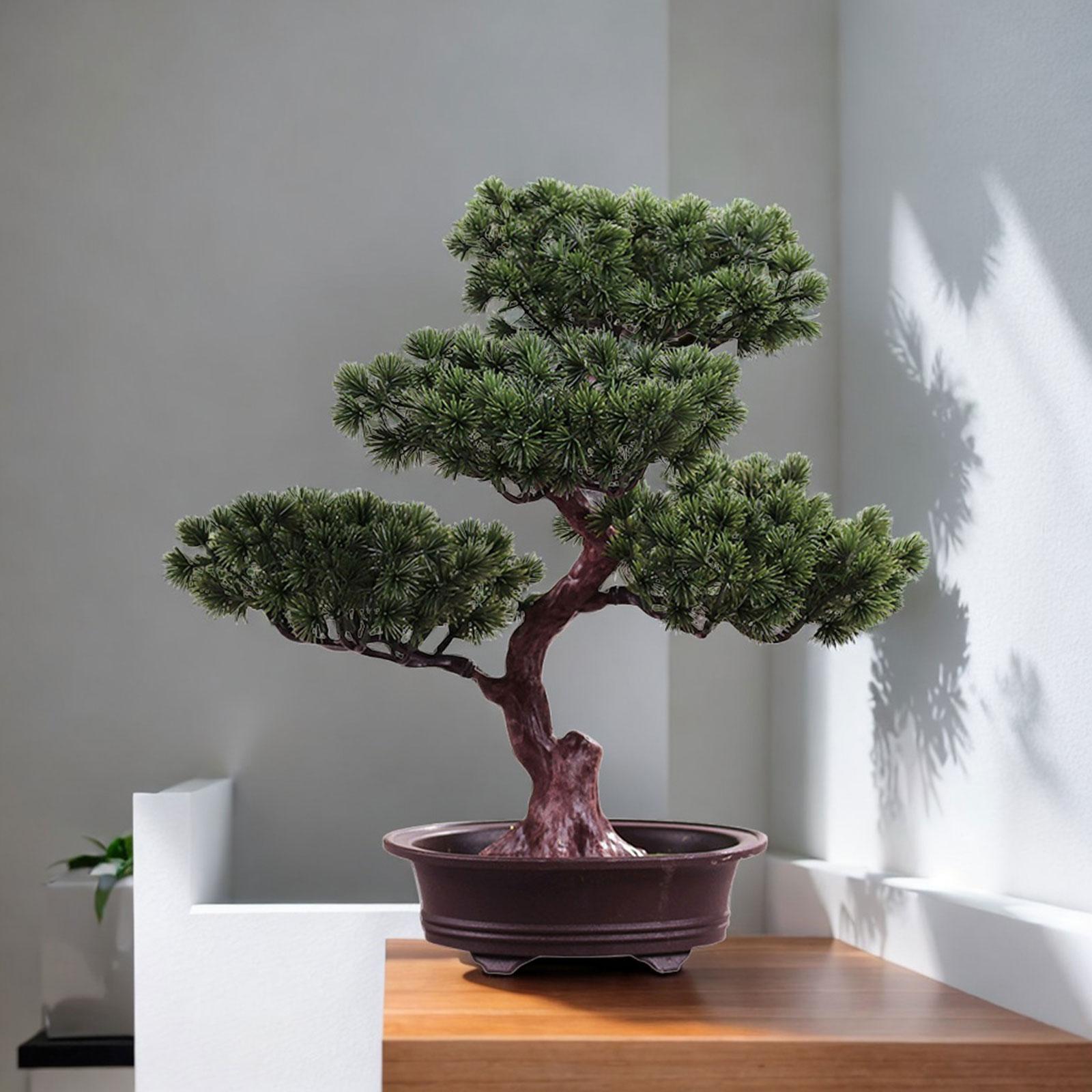 Bonsai Tree Zen Garden - Bonsái Artificial, árbol falso, planta en
