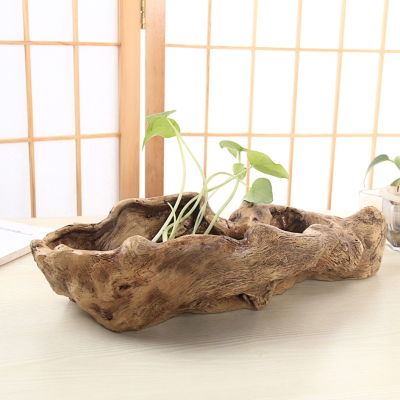 Maceta estilo Pastoral con pai - Bonsai Tree Zen Garden reseña y precio
