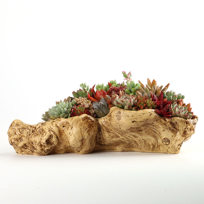 Maceta estilo Pastoral con pai - Bonsai Tree Zen Garden reseña y precio