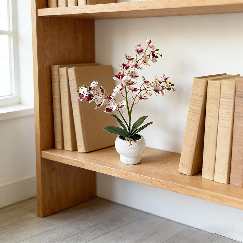 27 Adornos de Orquídeas Maripo - Bonsai Garden Restaurant reseña y precio
