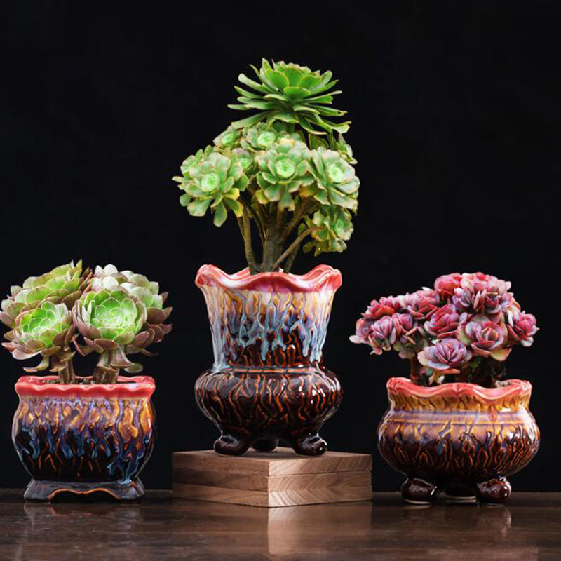 Maceta esmaltada creativa para - Bonsai Tree Zen Garden reseña y precio