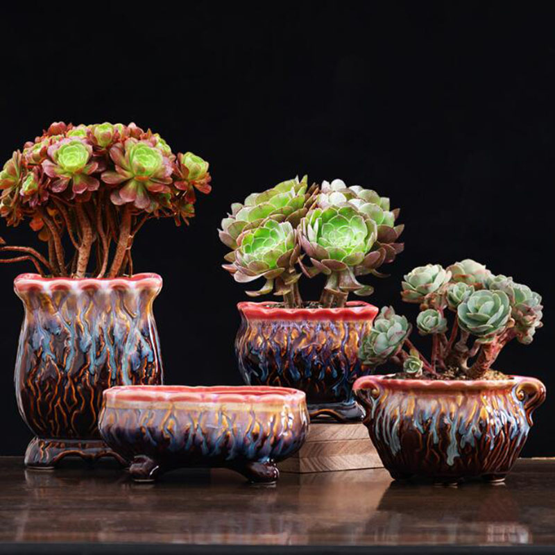 Maceta esmaltada creativa para - Bonsai Tree Zen Garden reseña y precio