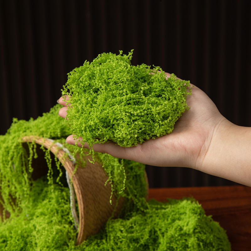 Musgo Eterno de 200g para Manu - Landscape Bonsai Garden reseña y precio