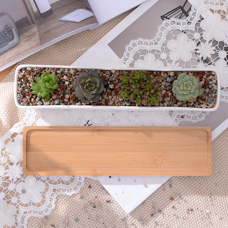 Maceta suculenta de cerámica b - Bonsai Tree Zen Garden reseña y precio