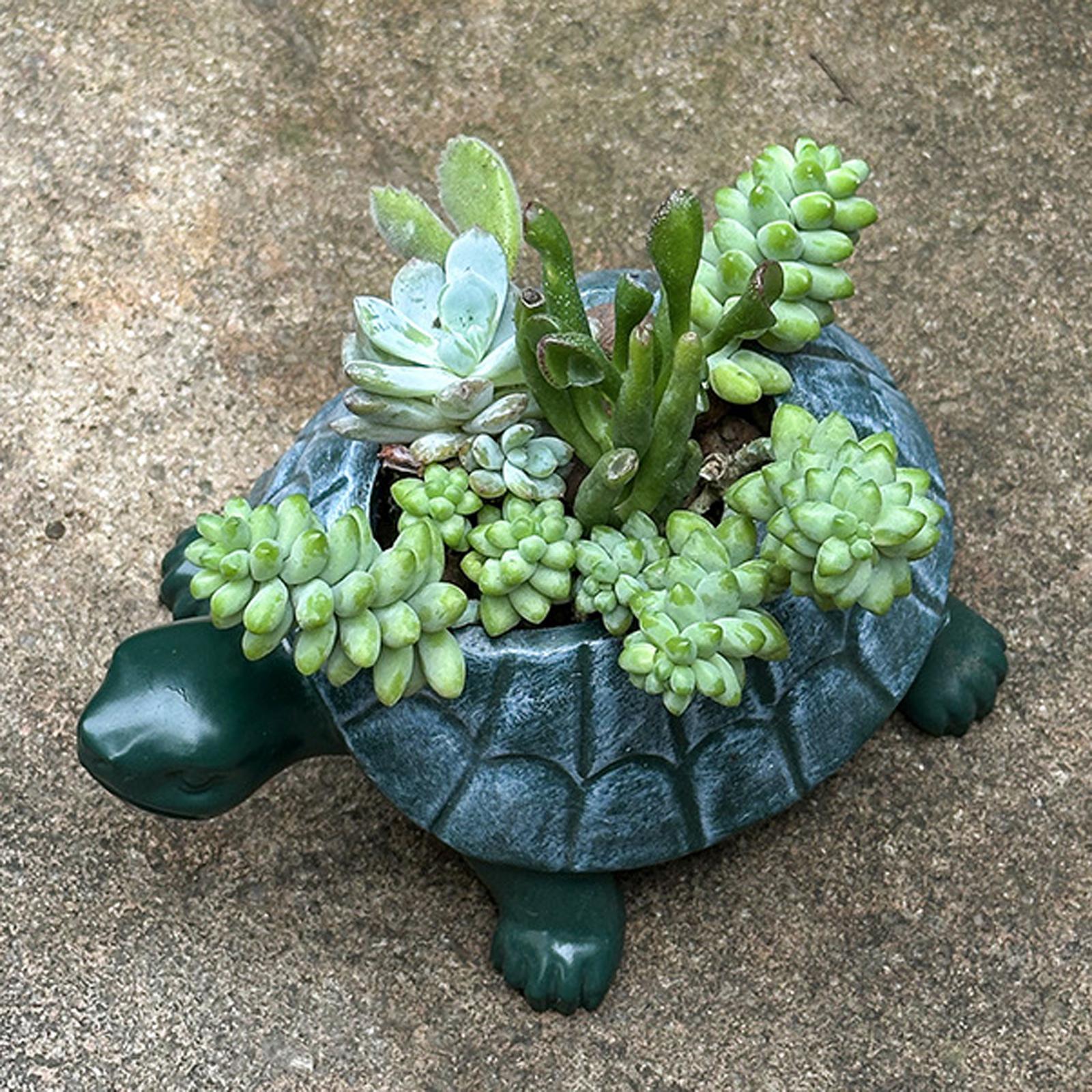 Maceta con Forma de Tortuga, M - Bonsai Garden Restaurant reseña y precio