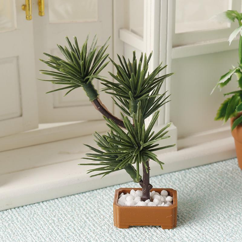1 unidad de árbol de pino de s - Landscape Bonsai Garden reseña y precio