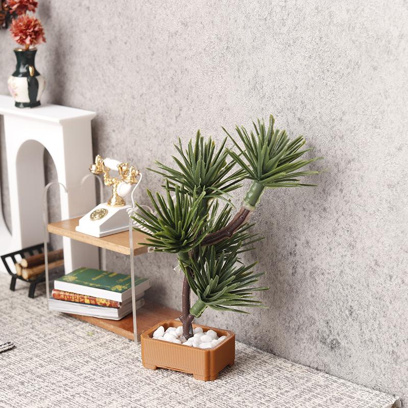 1 unidad de árbol de pino de s - Landscape Bonsai Garden reseña y precio
