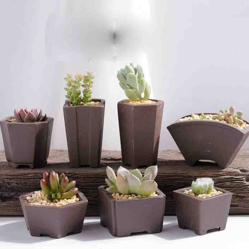 Yixing-maceta de arena púrpura - Bonsai Tree Zen Garden reseña y precio