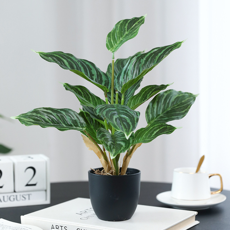 Plantas Verdes Artificiales, P - Bonsai Garden Layout reseña y precio
