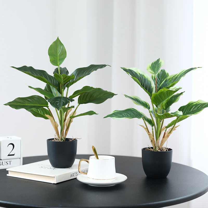 Plantas Verdes Artificiales, P - Bonsai Garden Layout reseña y precio