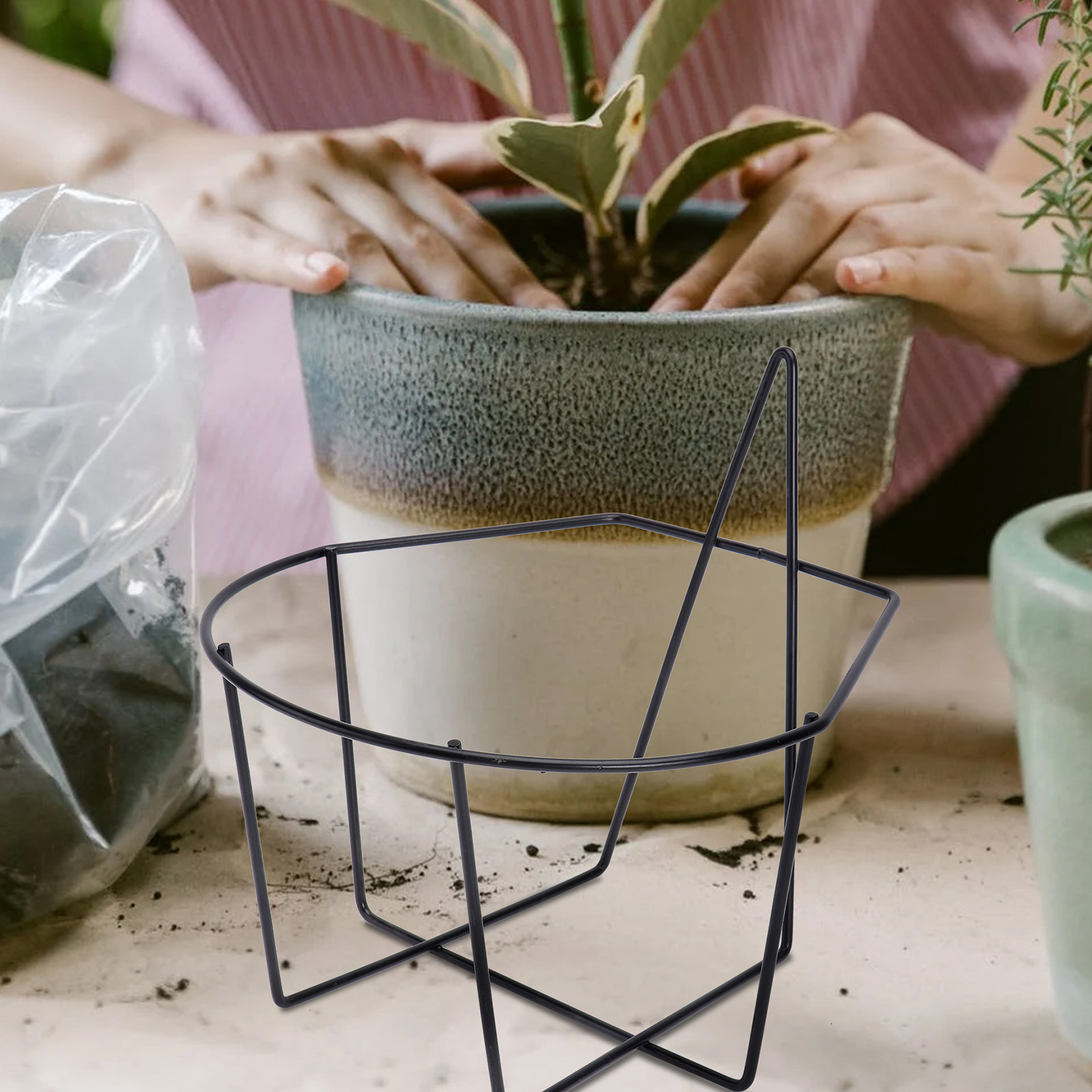 Soporte de pared para plantas  - Us Bonsai Garden reseña y precio