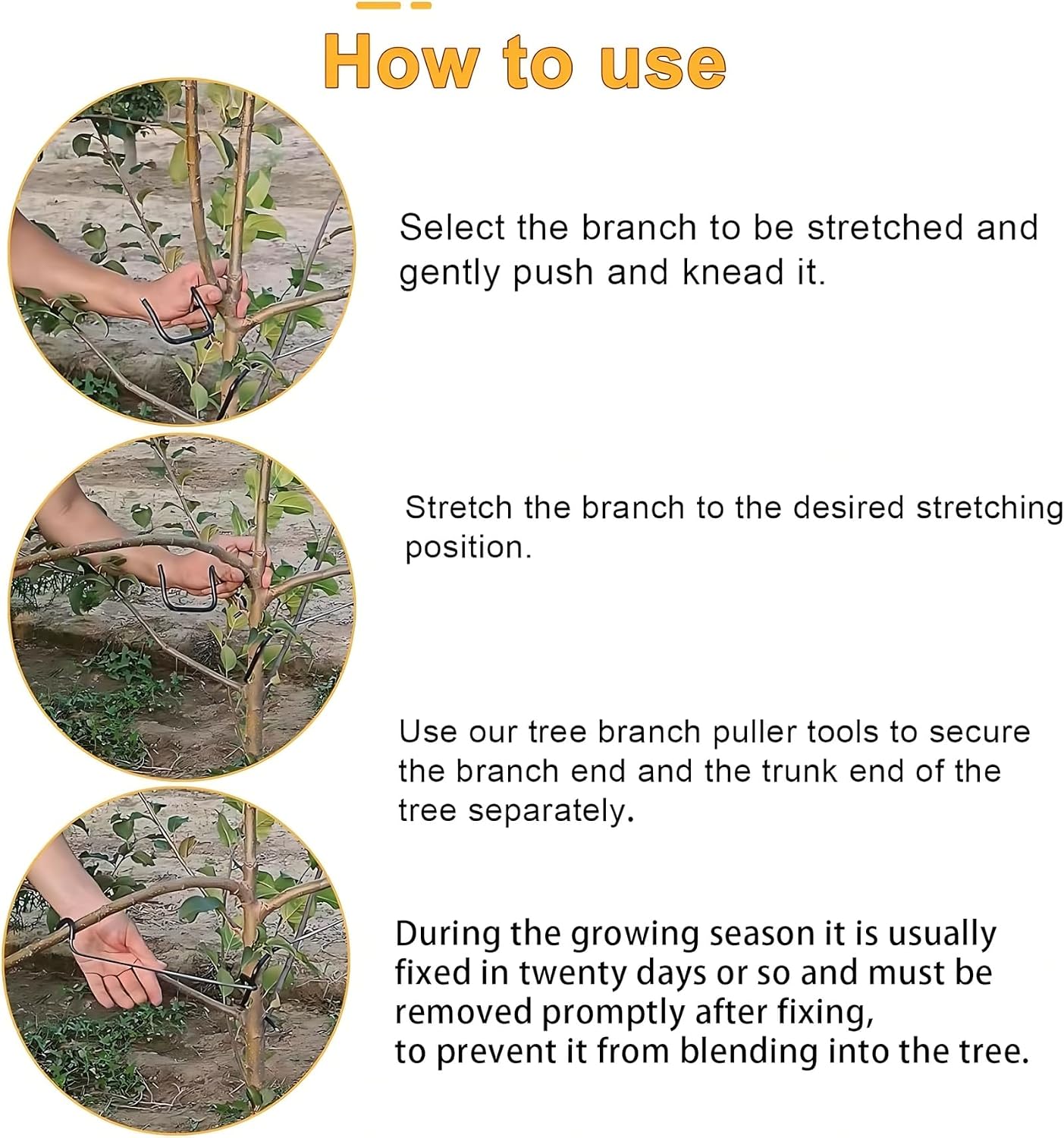 Diseñador de Ramas Ajustable p - Us Bonsai Garden reseña y precio