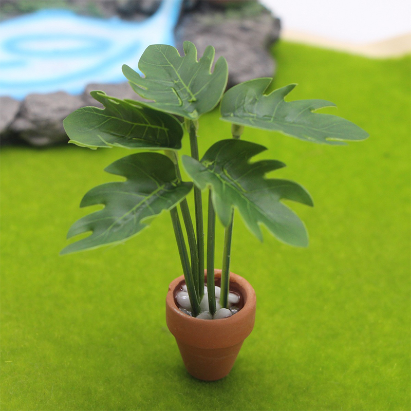 Adorno de micropaisaje para ca - Bonsai Garden Layout reseña y precio