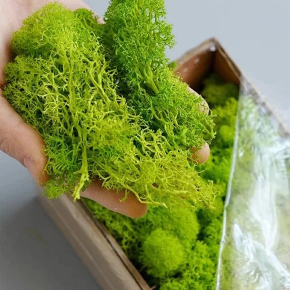 Musgo Artificial para Manualid - Landscape Bonsai Garden reseña y precio
