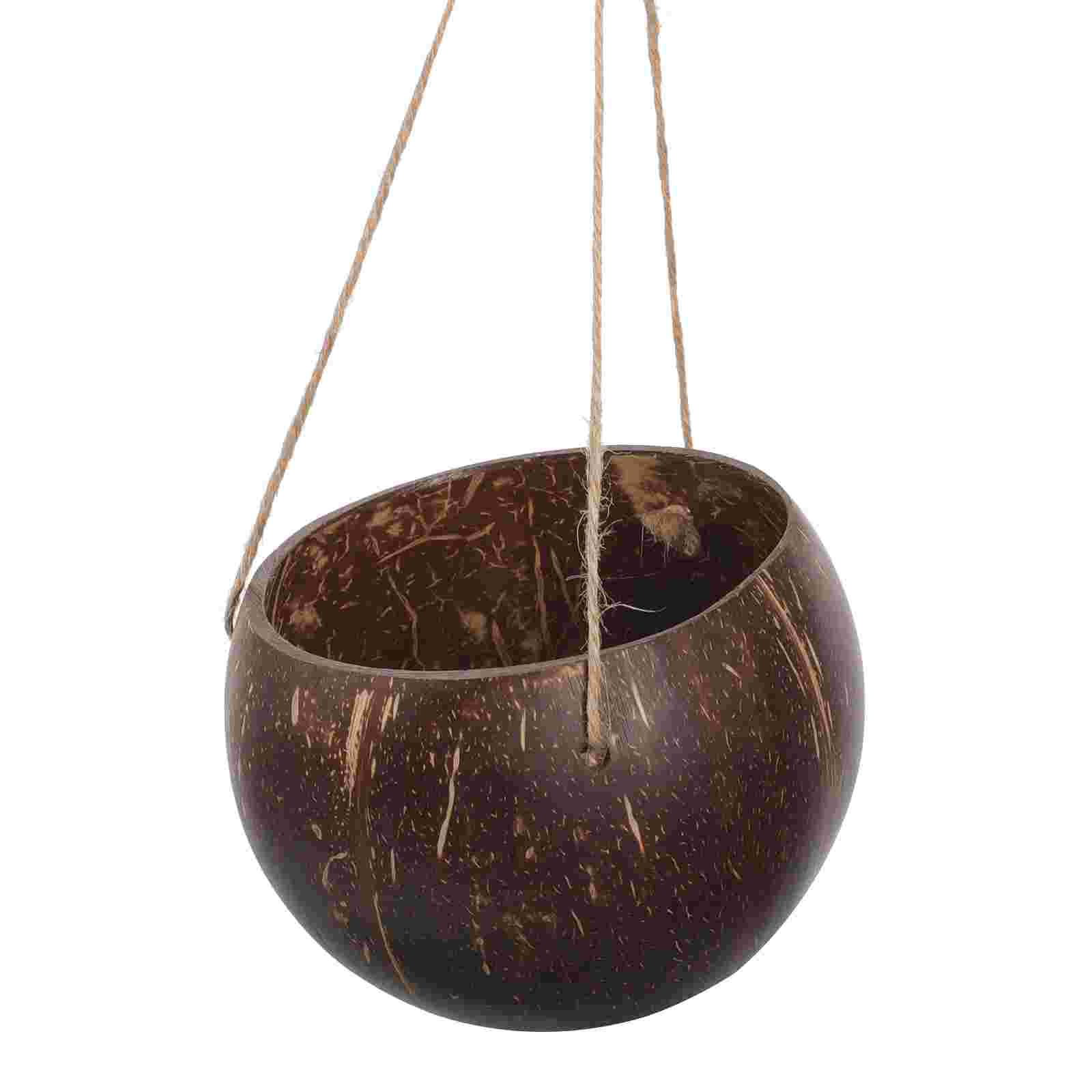 Macetas naturales de cáscara d - Bonsai Tree Zen Garden reseña y precio
